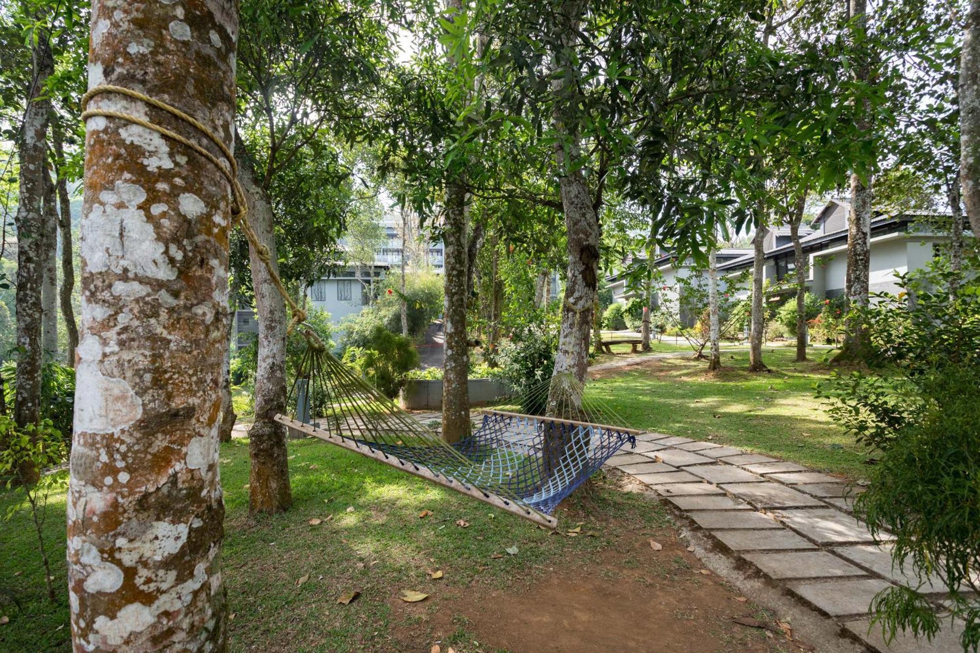 מלון The Mountain Courtyard טקאדי מראה חיצוני תמונה